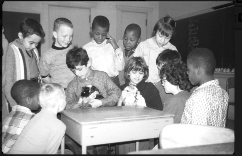 More “lost” schools