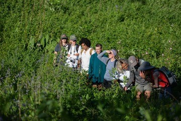 Eloise Butler Wildflower Garden and Bird Sanctuary is open